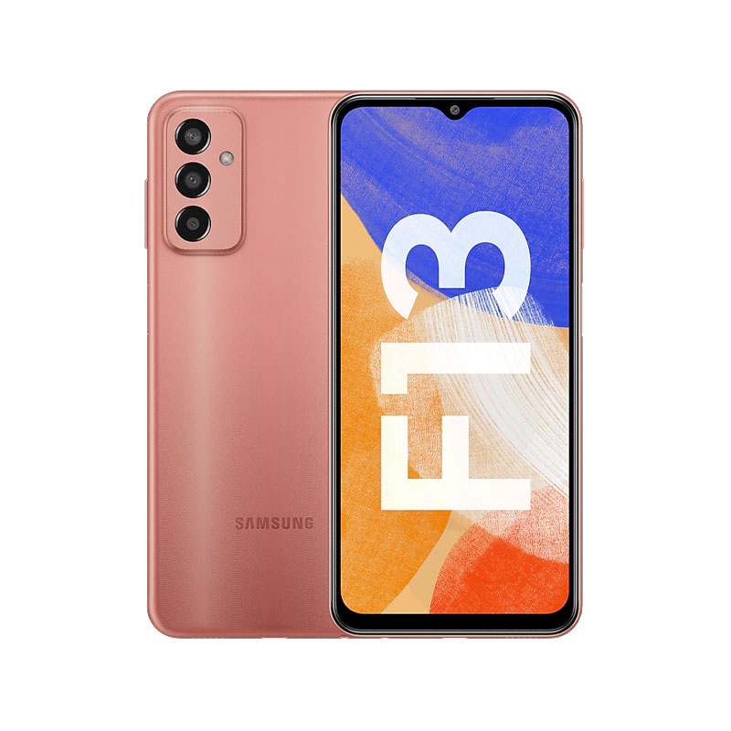 Samsung Galaxy F13